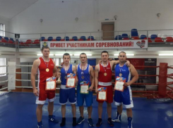 На Ставрополье прошли соревнования по боксу среди сотрудников полиции 