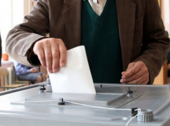 Избирательные протоколы решили защитить QR-кодом на выборах в Ставропольском крае