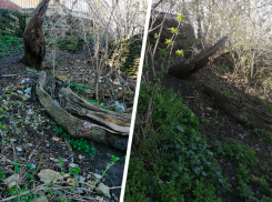 Благодаря экомониторингу ликвидировали свалку на Крепостной горе в Ставрополе 