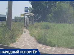 Не видно остановок из-за высокой травы в Ставрополе