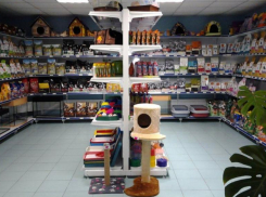 Ставропольчанам стало тяжелее содержать домашних животных