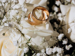 На Ставрополье в магию «красивых дат» для свадьбы верит более 400 пар