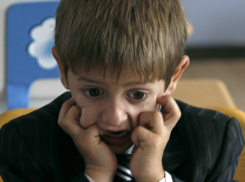 Школы не боятся непогоды: власти опровергли закрытие учебных заведений Ставрополя