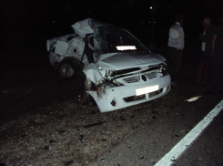 В Кочубеевском районе в ДТП погиб водитель