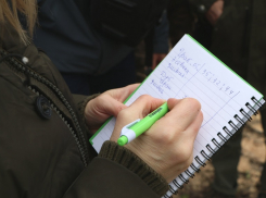 В Бештаугорском заказнике незаконно вырубили деревья на 78 миллионов, но полиция не нашла состава преступления