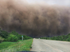 Тройное ДТП из-за пыльной бури произошло на Ставрополье