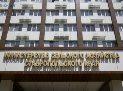 Обнес минсельхоз на 18 миллионов и попал под суд в Ставрополе хитрый получатель грантов