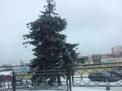 «Пьяной елкой» назвали жители новогоднюю красавицу в Пятигорске