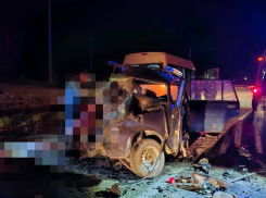 Пять жизней унесла на тот свет жуткая авария на ставропольской трассе 