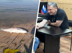 Глава Пятигорска наконец-то прокомментировал гибель рыбы в Новопятигорском озере