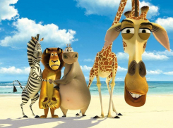 Ставропольское предприятие оштрафовали из-за мультфильма «Мадагаскар»