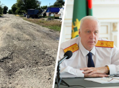 Александр Бастрыкин потребовал доклад из-за разбитой дороги в Ипатово