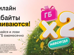 Бесконечное удвоение гигабайтов: билайн запустил акцию для организации интернета в загородном доме