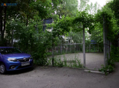 Погодная лихорадка с похолоданием до +10 градусов ждет жителей Ставрополья в начале недели 