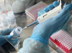 Число заболевших коронавирусом на Ставрополье приближается к 4 тысячам