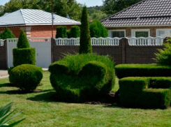 Цветники в японском стиле появились на улочках Ставрополя