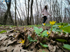 Ставропольцам напомнили даты выходных на майские праздники в 2024 году 