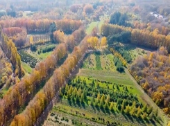 «Ни в одном мегаполисе нет столько лесов» — трэвел-блогеры оценили красоты Ставрополя 