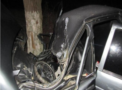 64-летний водитель врезался в дерево на «легковушке» и погиб на Ставрополье