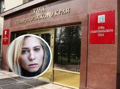 «Вместо выборов будет цирк»: на Ставрополье ожидается дефицит политических кадров