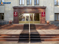 В Общественной палате Ставрополья появилась вакансия для нового члена