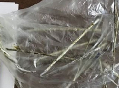   Нестандартный способ переправки наркотиков в колонию придумала женщина на Ставрополье