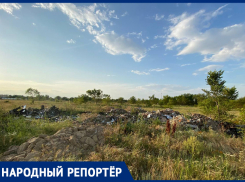 «Из родины свинарник делаете»: жительница города Ипатово пожаловалась на свалку