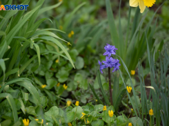 Без осадков и с потеплением: что ждать ставропольцам от погоды 21 апреля 