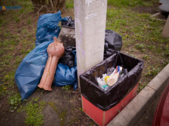 Попустительство минЖКХ и массу нарушений нашли после проверок ставропольских мусорных компаний