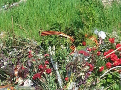 Бештаугорский заказник превратили в огромную свалку, куда свозят даже символы Победы