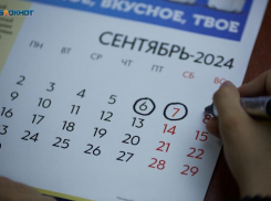 Заранее подать заявление для голосования по месту жительства предложили ставропольским избирателям