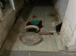 Потолок снова рухнул после ремонта в библиотеке имени Кашпурова