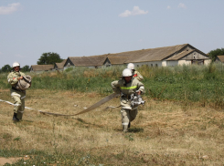На Ставрополье чистоплотная пенсионерка сожгла соседскую пасеку 