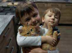 Игривый кот Тихон и его любящие хозяева Казаковы