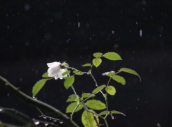 Штормовое предупреждение из-за грозы и града продлили на Ставрополье