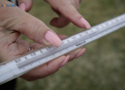 До +20 градусов поднимется температура в начале рабочей недели на Ставрополье