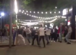 Полиция занялась расследованием драки в Парке Победы в Ставрополе