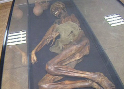 Мумия жителя Ипатова 2,5 года пролежала в квартире