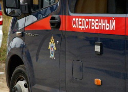 Следователи ищут убийцу 83-летней жительницы Ставрополья