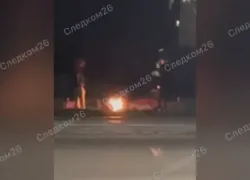 Бросавшие шишки в Вечный огонь парни на Ставрополье попросились на свободу 