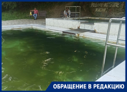 Вонючий и грязный: состояние родника «Корыта» в Ставрополе возмутило горожан 