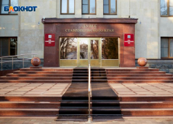 На что депутатам Ставрополья позволят потратить 100 тысяч в 2023 году?