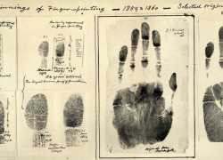 Подозреваемого в краже на Ставрополье задержали по следу от ладони