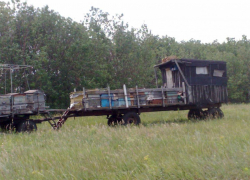 На Ставрополье спасатели уберегли пчёл от верной смерти