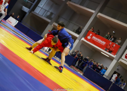 Ставропольские самбисты собрали медальный урожай в Грозном 