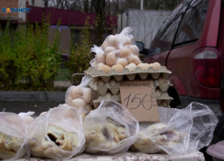 Аналитики Ставрополья подтвердили наибольший рост цен на продовольственные товары в крае