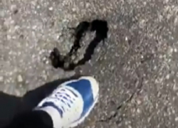 «Суровые ставропольские кроты»: дыра в асфальте на дороге попала на видео 