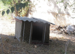 На Ставрополье новоселы съели соседскую собаку