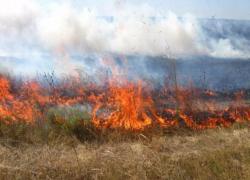 На Ставрополье 20 полей сгорели