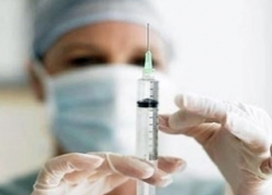 На Ставрополье у кошки обнаружили бешенство